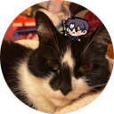 kittysarelife avatar