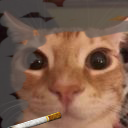 kittysmoker avatar