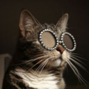 kittysuperstar avatar