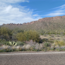 kittytiidie06 avatar