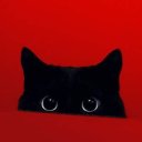 kittywriites avatar
