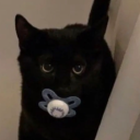 kittywritesfic avatar