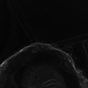 kittyxsoftpaws avatar