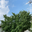 kivircikbirkiz avatar