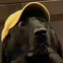 kiwidointhings avatar