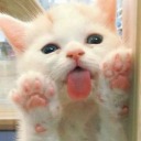 kiwis-and-honey avatar