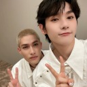 kiwislandsworld avatar