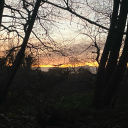 kiwitaskmaster avatar