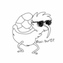 kiwiturtle avatar
