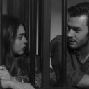 kiyiyavuranbalik avatar