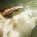 kiyokowastaken avatar