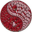 kkawesome12-blog avatar