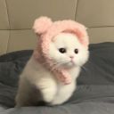 kkkysya avatar