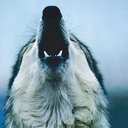 kkrriissttiii avatar