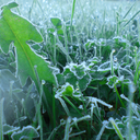 kleinig-keiten avatar