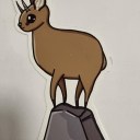 klipspringers3 avatar