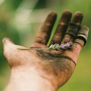 kliszajanusza avatar