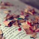 kneedeepinparadise avatar