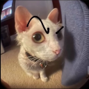 knees-and-bees avatar