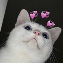 kngynghyns-moved avatar