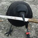 knifewieldingcrow avatar