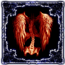 knightfaetality avatar