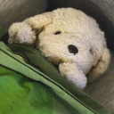 knightofnonsence avatar