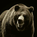 knightwatchmanx avatar