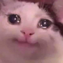 knives-and-the-witty avatar