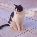 knivesnotmine-andotherlies avatar