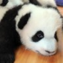 knjn7420-blog avatar