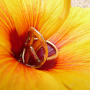 knmjewelry-blog avatar