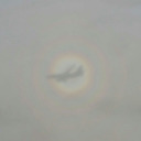 knoggstudyblr avatar