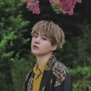 knorry-in-the-soup avatar