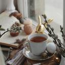 knothollowwife avatar