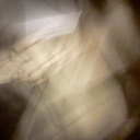 knotyourkitten avatar