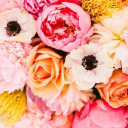 knowledgeableknitter avatar