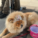 knownasalanoud avatar