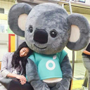 koala-sever avatar