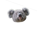 koala78 avatar