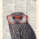 koalafied-nerd avatar