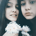 koalagibiyasayankiz-blog avatar