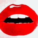 koalasintheevening avatar