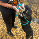 kodee-22-blog avatar