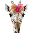 kodyandko-blog avatar