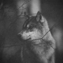 kofeinanikotynaty avatar