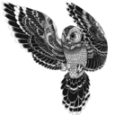 kognitivedissonanzen avatar