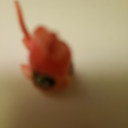 koixxm avatar