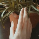 kolaninsondamlasi avatar