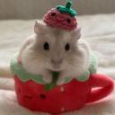 kolejnymotylekk avatar